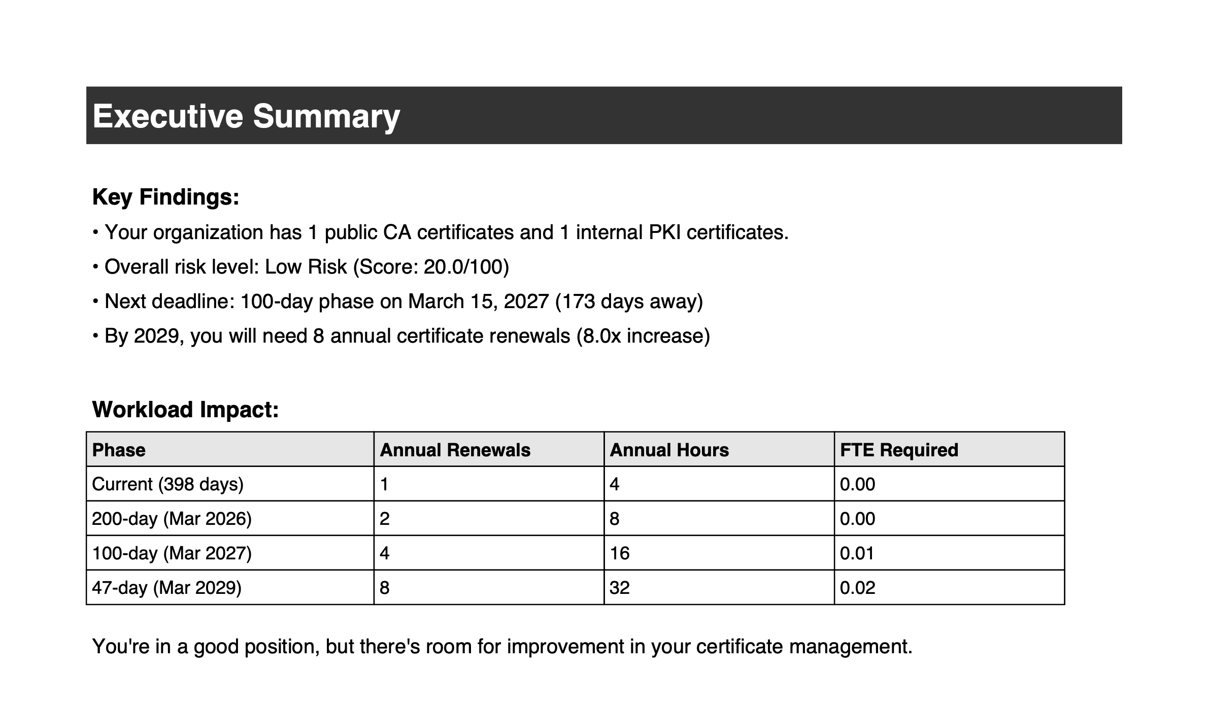 Sample report page: Executive Summary with key findings, the overall risk level and a workload table for the 398-, 200-, 100- and 47-day phases